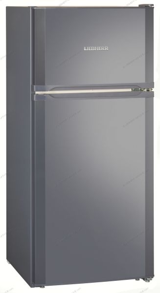 Холодильник Liebherr CTPwb 2121